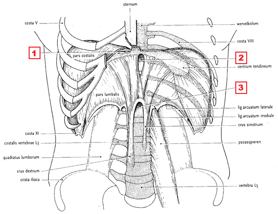 <p>1</p>