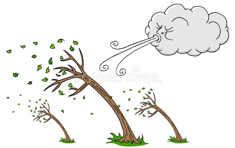 <p>Wind</p>