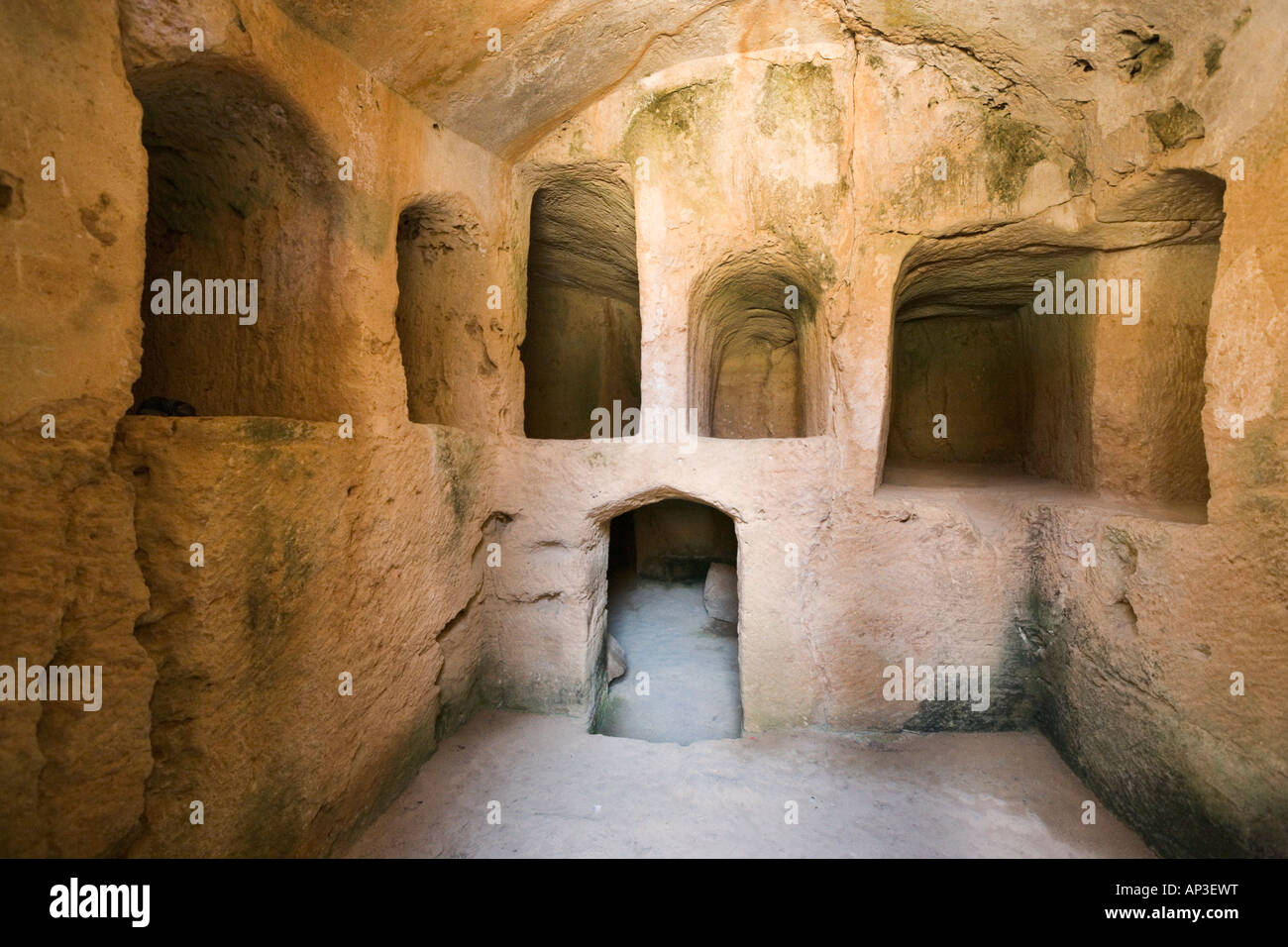 <ul><li><p>burial poles</p></li><li><p>the architectural compartment that houses a body</p></li></ul><p></p>