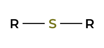 <p>thiol to sulfide</p>
