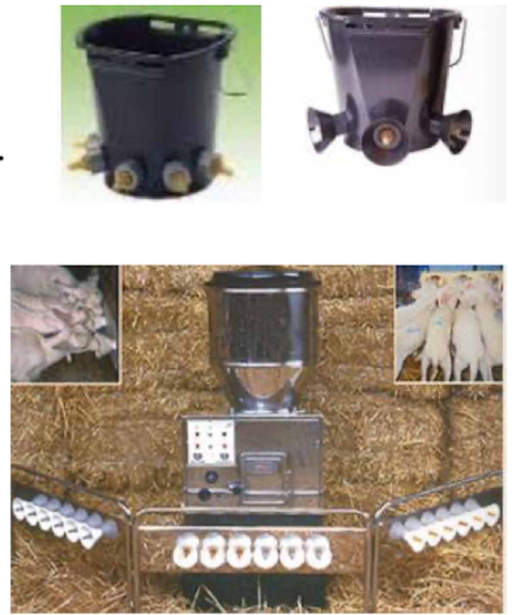<p>tetinas:</p><p>- altas: sin gotea, hay que succionar</p><p>- bajas: similar a materna</p><p>cubos:</p><p>- hay que calentar, dosificar, y disolver y repartir, y luego recoger, limpiar, y desinfectar</p><p>nodriza:</p><p>- programables</p><p>- leche recién hecha y caliente</p><p>- limpieza 1x/día</p><p>- más caras</p><p>- más higiénicas </p>