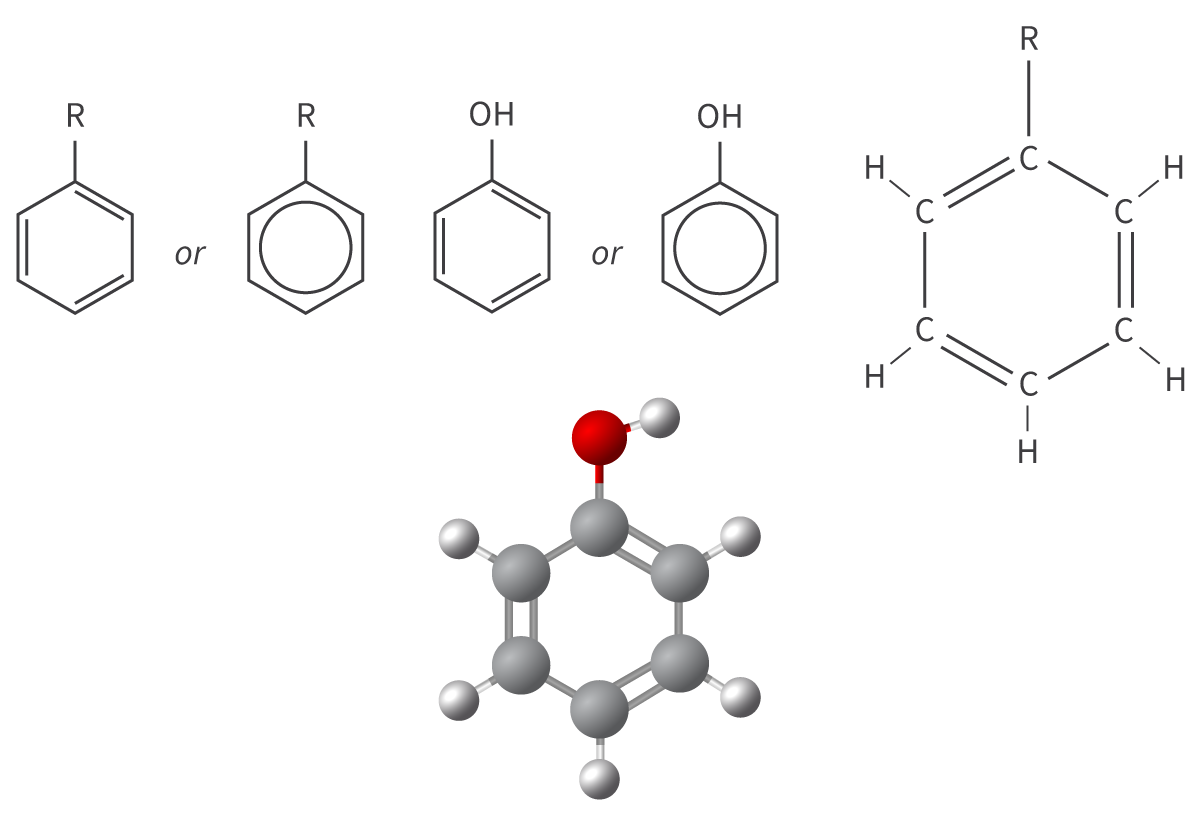 <ul><li><p>phenyl functional group</p></li><li><p>cyclical structure</p><ul><li><p>6 carbon atoms + 5 hydrogen atoms</p></li><li><p>benzene ring minus hydrogen atom</p></li></ul></li><li><p>aromatic hydrocarbons</p></li></ul><p></p>