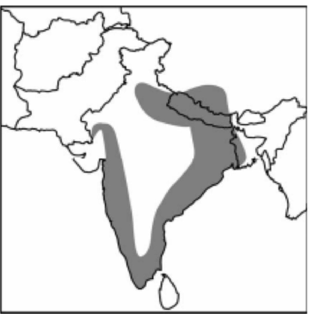 <p>rice cultivation.</p>