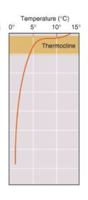 <p>Temperature is changing the quickest</p>