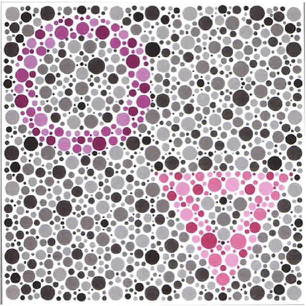 <p>What are the pseudoisochromatic plates?</p>