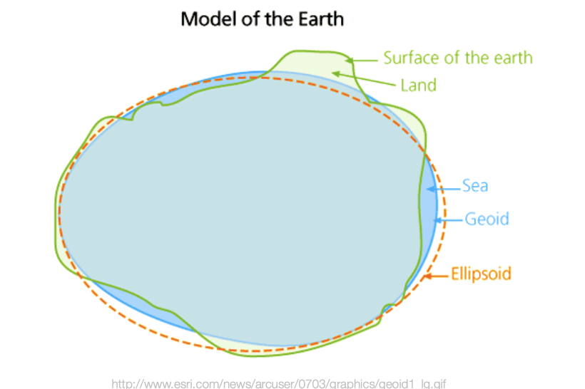 <p>Oblate spheroid or ellipsoid: the rotation of the earth causes polar flattening due to centrifugal force. This affects distance measurements on maps.&nbsp;</p><p>The truest shape is a geoid, which means the the surface is not smooth, it has “Bumpiness” caused by variations in density of the Earth’s crust (which also causes variabilities in gravity).&nbsp;</p>