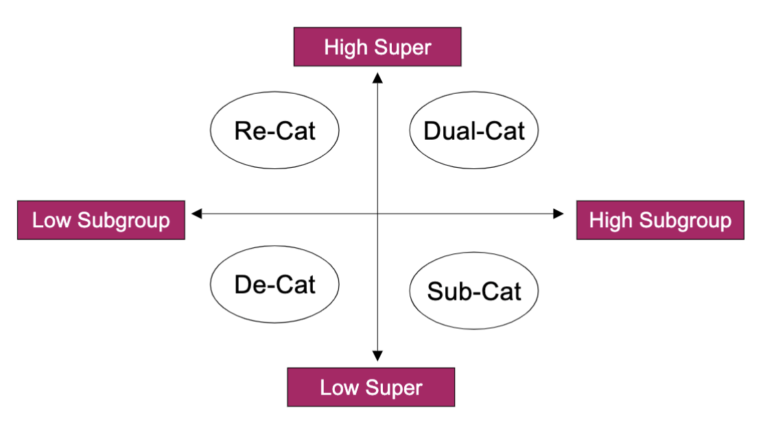 <p>Re-categorisation = low subgroups and high superordinate </p><p>De-categorisation = low subgroups and low superordinate</p><p>Sub-categorisation = high subgroups and low superordinate</p><p>Dual-categorisation = high subgroups and high superordinate</p>