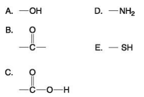Which functional group shown at right is: 

i) is an acidic functional group that can release H+ into a solution? 

ii) a basic functional group that can accept H+? 

iii) can exist as a ketone or aldehyde configuration?

iv) a characteristic of alcohols? 

v) helps stabilize proteins by forming covalent cross-links within or between protein molecules?
