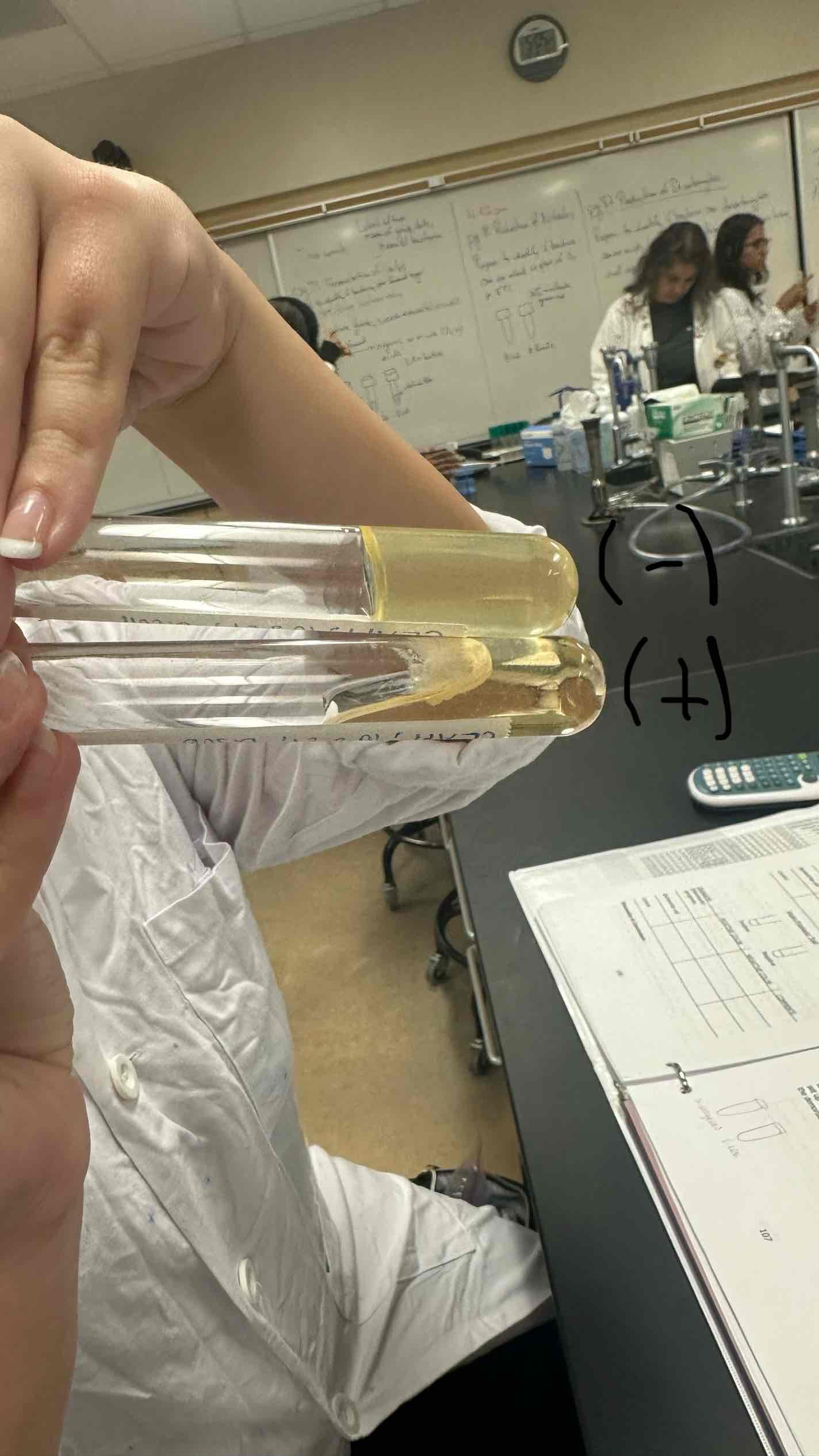 <ul><li><p><strong>Medium: </strong>Gelatin (Tall)</p></li><li><p><strong>Substrate: </strong>Gelatin</p></li><li><p><strong>Pathway/Enzyme:</strong></p><ul><li><p>Pathway: Hydrolysis</p></li><li><p>Enzyme: Gelatinase</p></li></ul></li><li><p><strong>pH. Indicator/Reagents: </strong>N/A</p></li><li><p><strong>End Products: </strong>Amino Acid</p></li></ul><p></p><p></p>