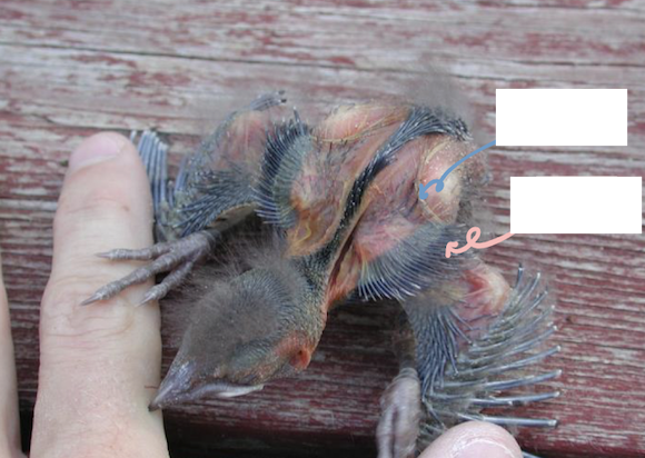 <p>Name the areas in the below pictures</p>