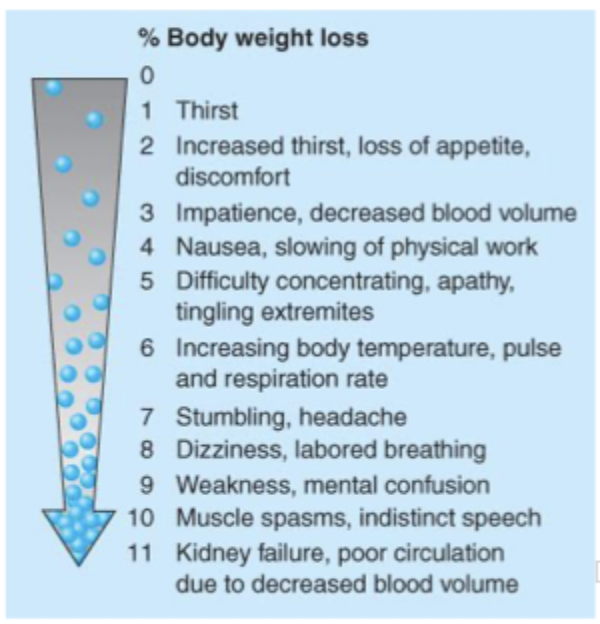 stages of water loss
