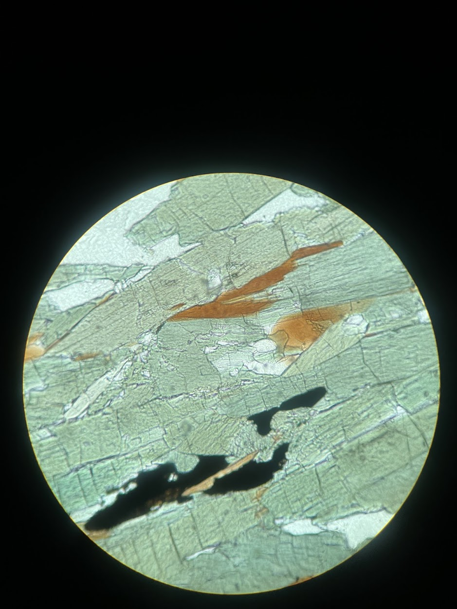 term image