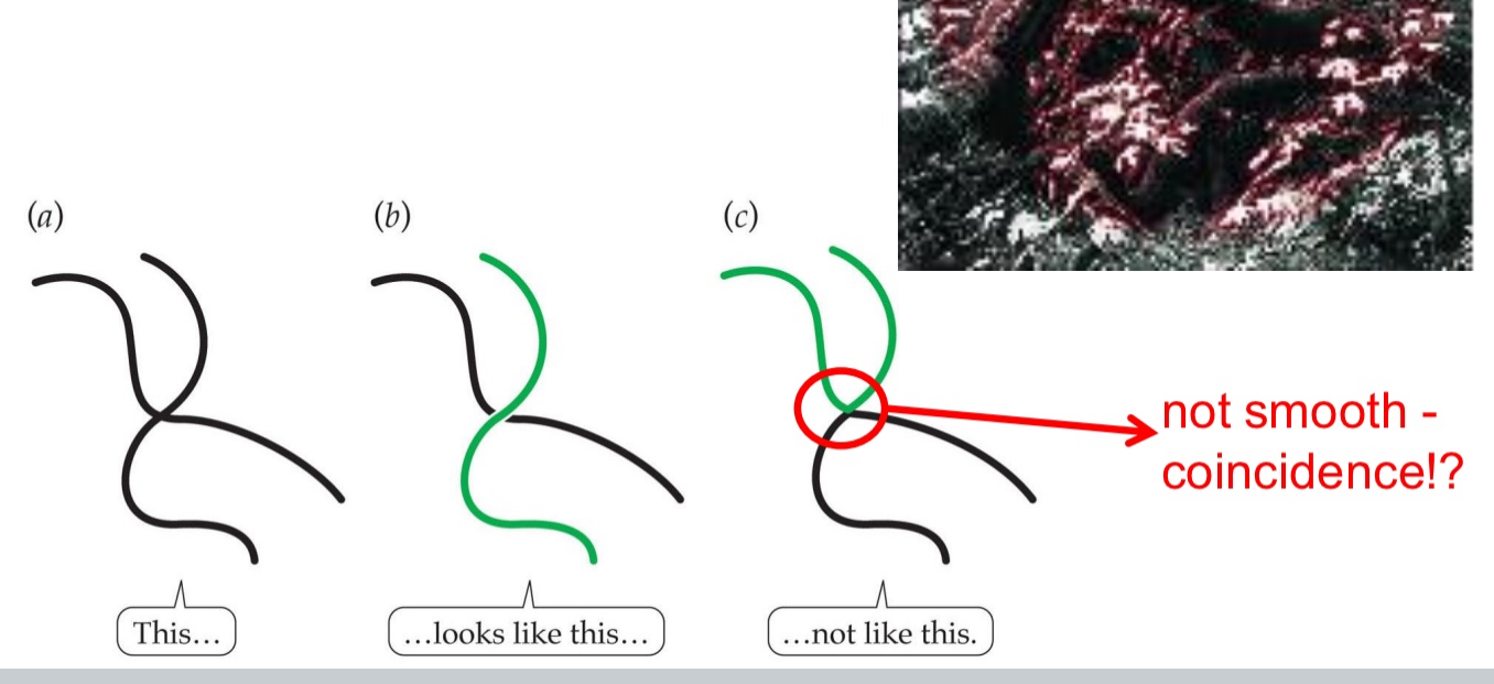 <ul><li><p>what is considered smooth</p><ul><li><p>Geisler et al. (2001): natural scene statistics explain the gestalt law of good continuation.</p></li><li><p>Photo of forest, do 2 lines belong to same twig was done in study</p></li><li><p>Lines that are more smooth will belong to same object.</p></li></ul></li></ul><p></p>