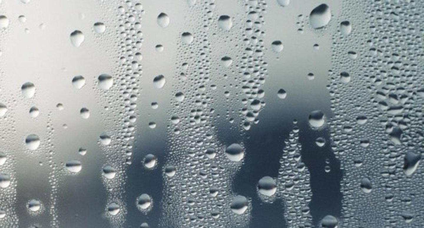 <p>A gas made from a liquid; steam.</p>