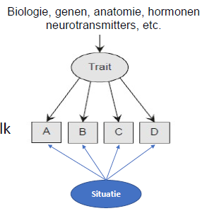 <p>deze theorie stelt dat eigenschappen diepe onderliggende psychologische en neurologische entiteiten zijn → onze persoonlijkheidskenmerken beïnvloeden onze <strong>gevoelens, gedragingen, gedachtes en verlangens</strong> (ABCD’s → affect, behaviour, cognition, desires)</p><p>gelijkenis van de big five structuren tussen culturen suggereert dat deze persoonlijkheidskenmerken door onze biologie/genen worden bepaald, maar de precieze oorzaak is nog niet duidelijk → de trekken zijn 50% erfelijk</p><p>persoonlijkheidstrekken zijn niet <strong>deterministisch </strong>(ABCD’s altijd hetzelfde, ongeacht de situatie), maar juist <strong>probabilistisch</strong>: ze vertegenwoordigen onze algemene manier van voelen, denken, gedrag en verlangen, maar deze kunnen ook beïnvloed worden door de situatie → aanpassen is normaal, als je je niet kan aanpassen kan dit maladaptief zijn</p><p>dus niet “als ik hoog scoor op extraversie, ben ik altijd spraakzaam” (deterministisch), maar “als ik hoog scoor op extraversie, ben ik eerder spraakzaam dan iemand met een lagere score”</p>