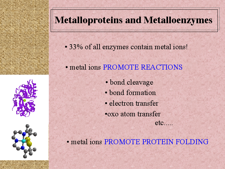<p>A type of conjugated protein where a protein molecules is combined with a metal</p><ul><li><p>Ex: cytochrome oxidase with copper, hemoglobin with iron</p></li></ul><p></p>
