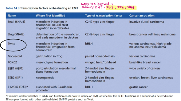 <ul><li><p><mark data-color="yellow" style="background-color: yellow; color: inherit;">Twist</mark></p></li><li><p>Snail</p></li><li><p>Slug</p></li></ul><p></p>