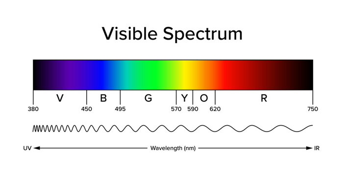 <p>Light in the visible spectrum have wavelengths from 380-700 nm. </p>