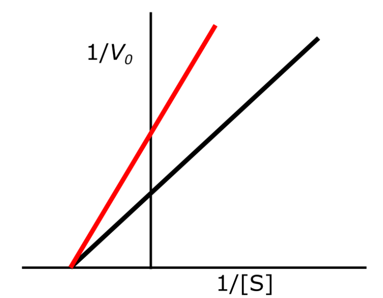 <p>Noncompetitive inhibition</p>