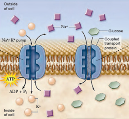 <p>No implica energía de forma directa, pero si indirectamente</p>