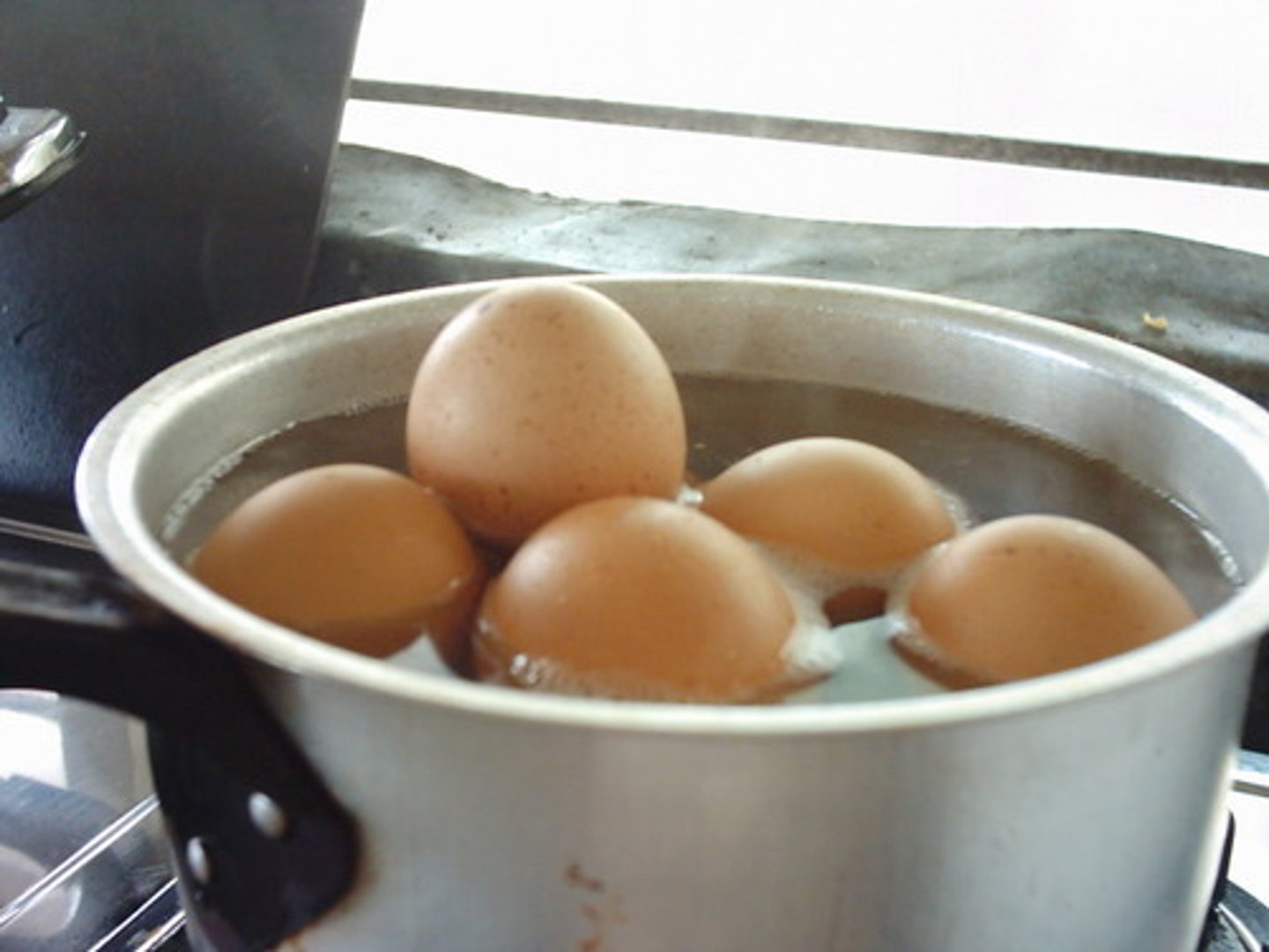 <p>eggs</p>
