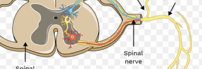 <p>what. is the second arrow pointing at?</p>