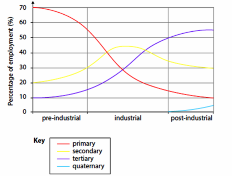 <p><span>Describes the <strong>shifts in economic activity over time</strong>, moving from primary to secondary and then tertiary sectors</span></p>