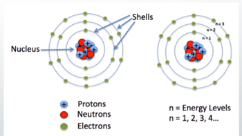 <p>Shells; associated with the energy levels and are further organized into subshells and orbitals within each shell.</p>