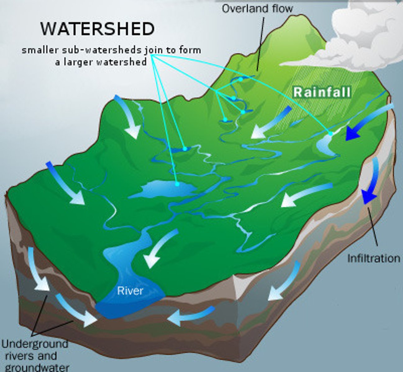 <p><span>An area of land where all water flows into a specific body of water, such as a stream, river, lake, or ocean</span></p><p>Characteristics of a watershed:</p><p><strong><u>Area</u></strong>: Reflects volume of water.</p><p><strong><u>Length</u></strong>: Can be measured in different ways.</p><p><strong><u>Slope</u></strong>: Momentum of runoffs.</p><p><strong><u>Vegetation</u></strong>: Adds organic matter to the soil, etc.</p><p><strong><u>Divides</u></strong>: Peaks and ridge lines with line connecting highest points.</p>
