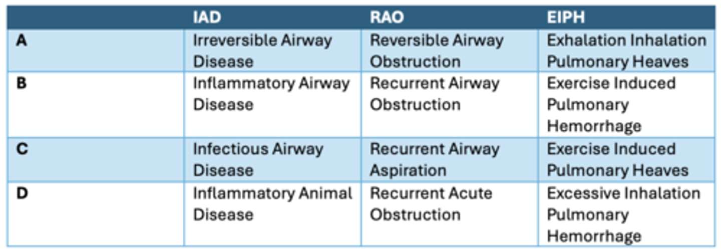 <p>IAD, RAO og EIPH betyder? Se billedet</p><p>- A</p><p>- B</p><p>- C</p><p>- D</p>