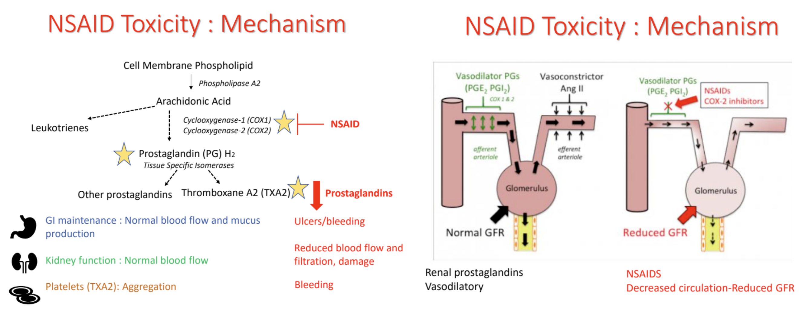 <p>inhibits COX enzymes → block production of prostaglandins, including thromboxane A2 (TXA2)</p><ul><li><p>GI → ulcers/bleeding</p></li></ul><ul><li><p>kidney → reduced blood flow & filtration, damage</p></li><li><p>platelets (TXA2) → bleeding (decreased aggregation)</p></li></ul><p></p>