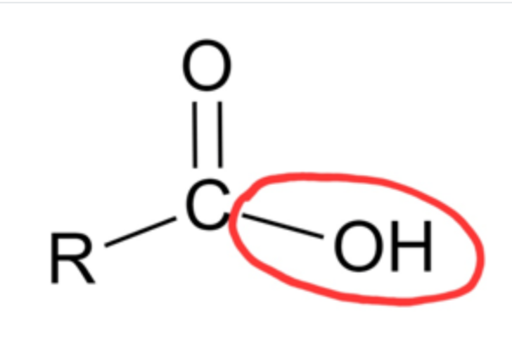 <p>hydroxyl group (OH)</p>