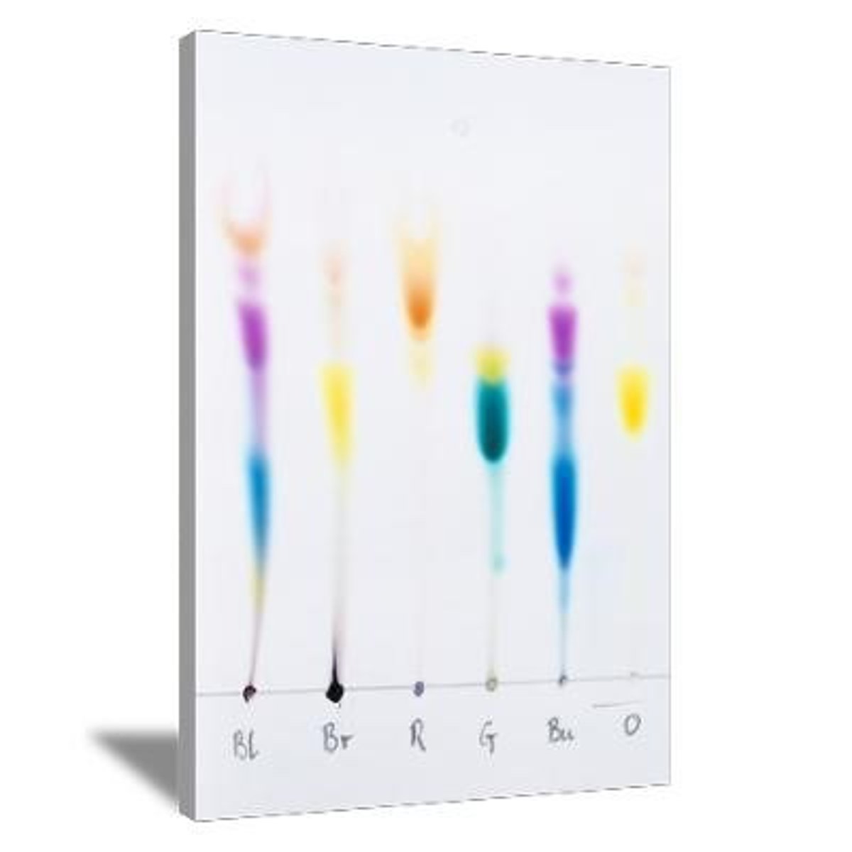 <p>The method used to select people from the population.</p>