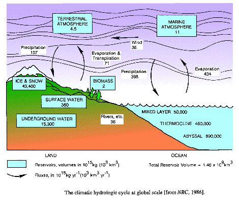 All the water in all states of matter (liquid, solid, gas) that support life.