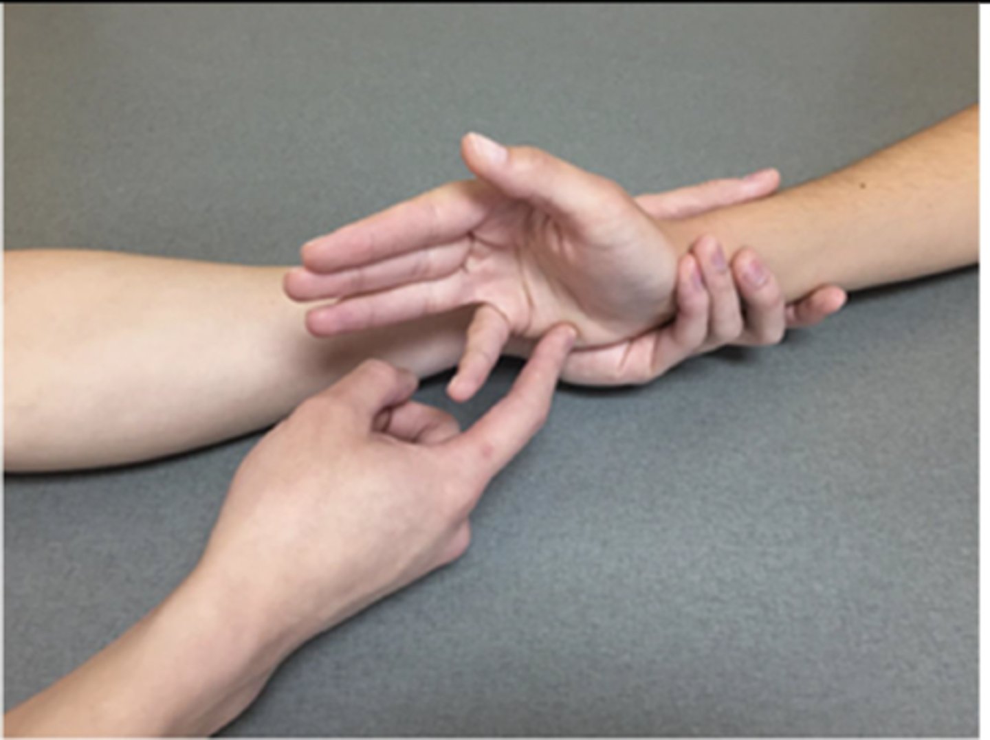<p>Patient Position: Forearm neutral lying on ulnar border</p><p>Palpation: Volar side of hand between metacarpals (lumbricals) &amp; volar proximal side of forearm (flexor muscle bellies)</p><p>Compensations: Wrist flexion tenodesis (wrist extension may produce passive finger flexion)</p>