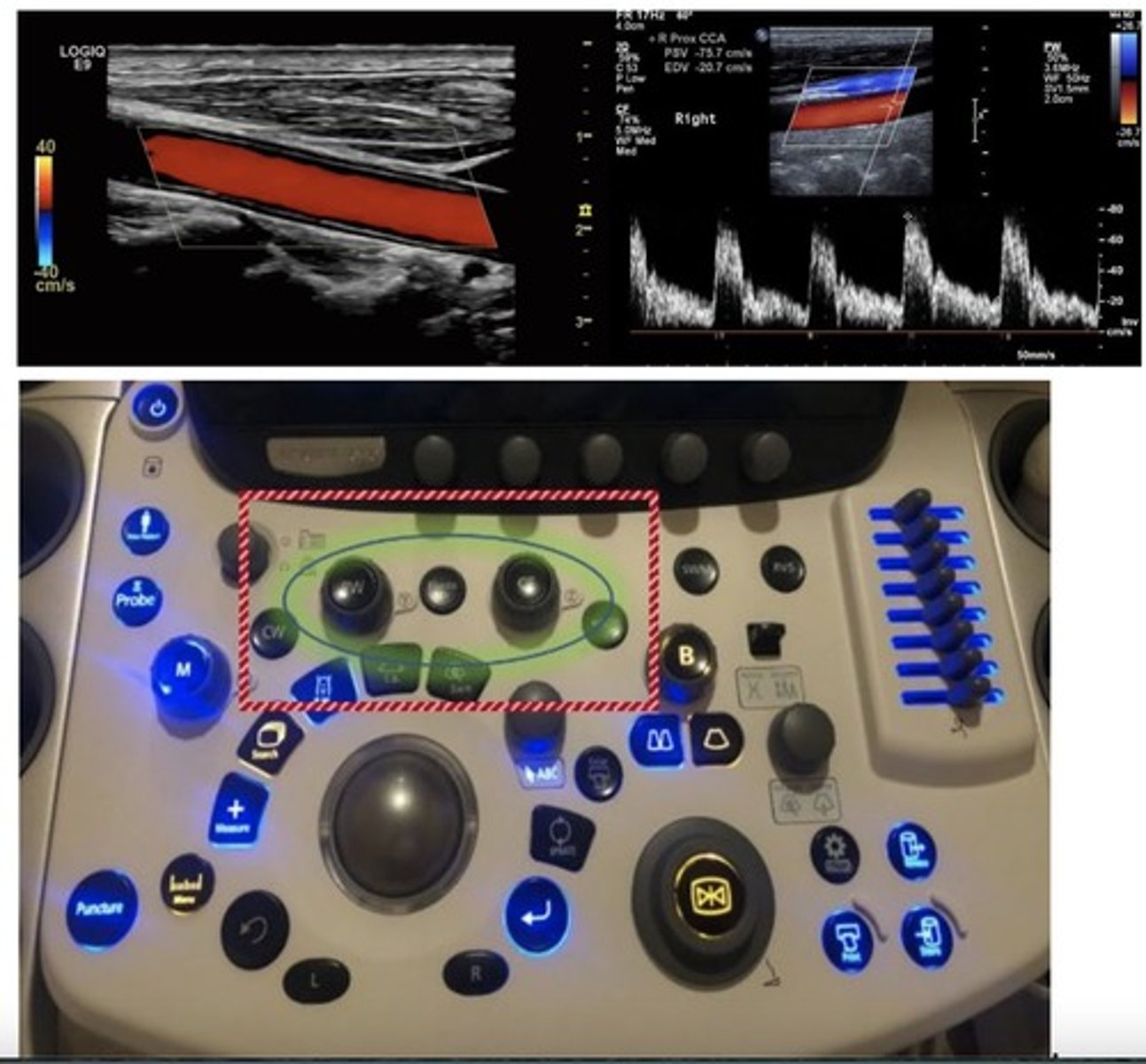 knowt flashcard image