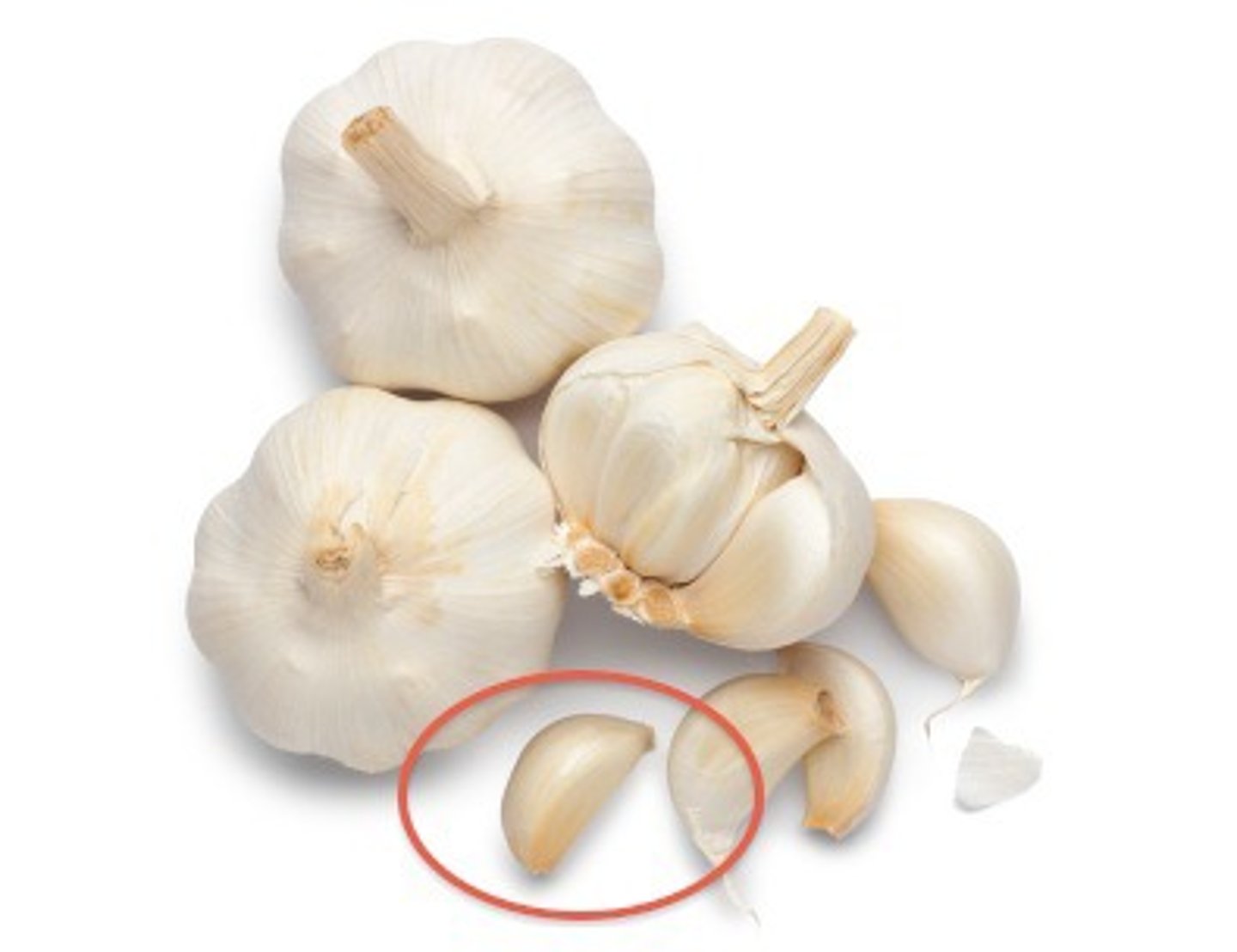 <p>clove of garlic</p>