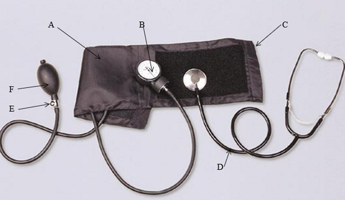 <p>Use the figure below to answer the following question.</p><p style="text-align: left">Which part of the medical equipment (B-F) is squeezed to inflate <strong>A?</strong></p>