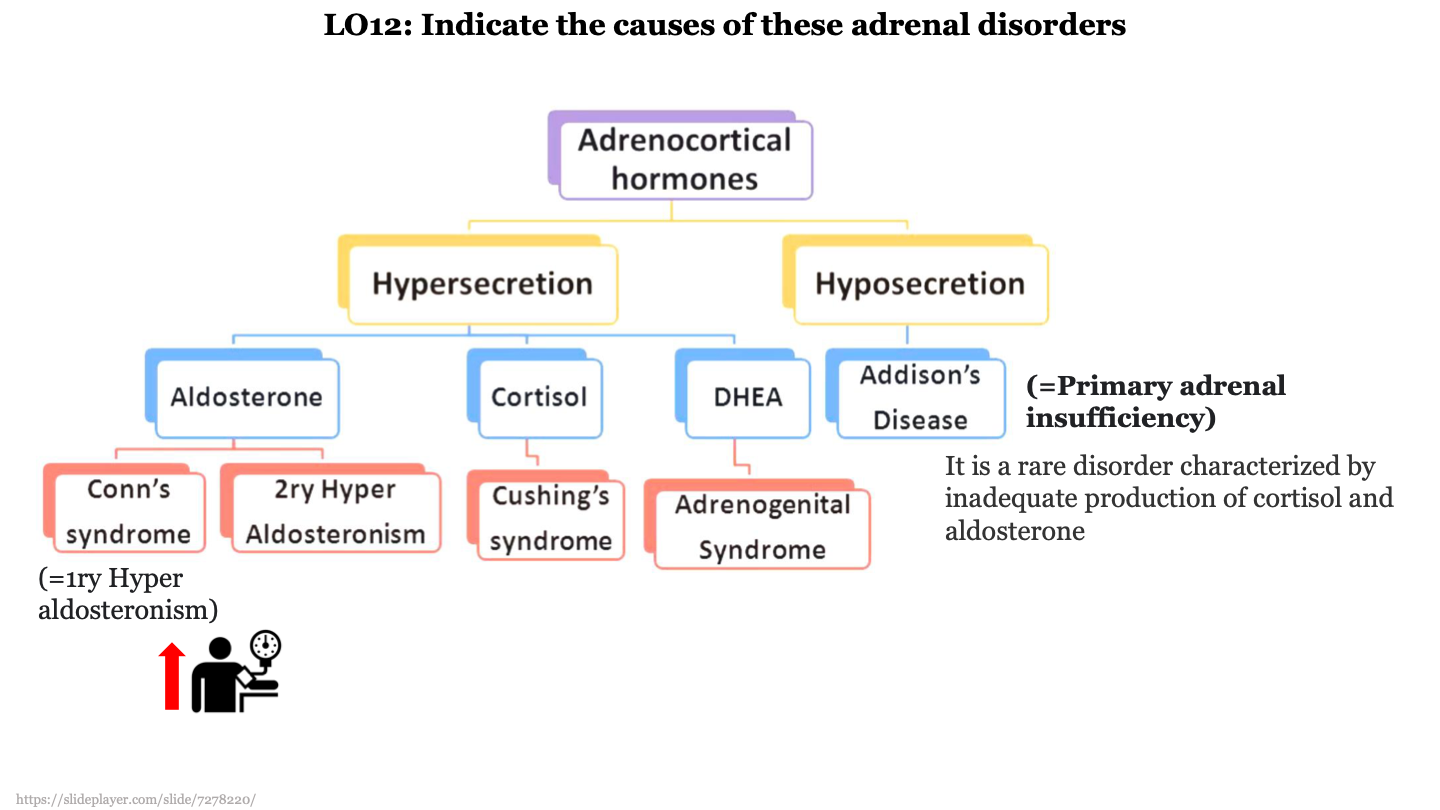 caused by hypersecretion of the adrenocortical hormone aldosterone; increases BP because more sodium and water are retained in the body