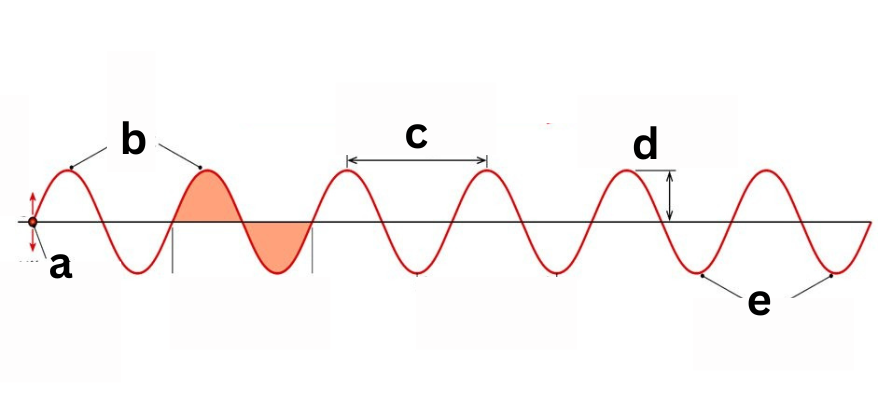 <p><span style="color: rgb(0, 0, 0);"><span>Label This Diagram</span></span></p><p><span style="color: rgb(0, 0, 0);"><em><span>Transverse Wave</span></em></span></p>