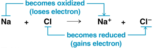 <p>Oxidation</p>