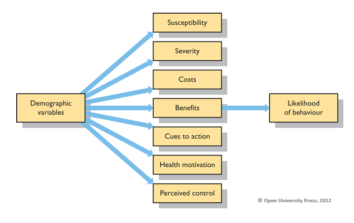 <p>Demographic Variables affect the likelihood of behaviour</p>