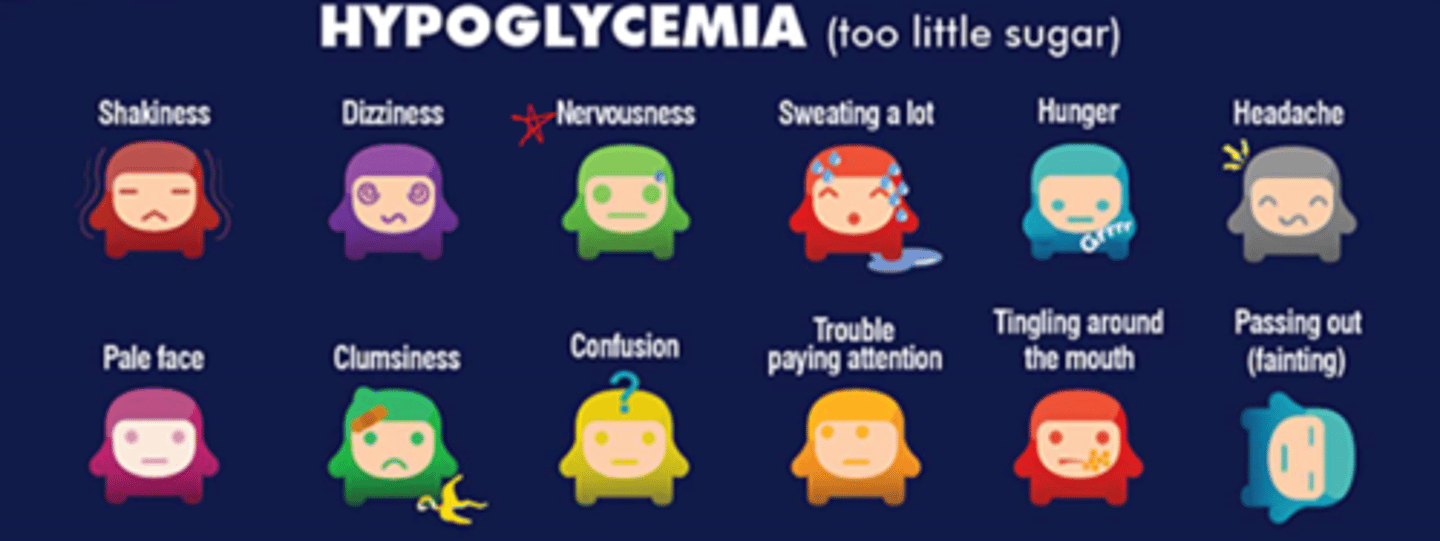 <p>- weakness, tachycardia, tremors, nausea, thirst/hunger, diaphoresis, headache</p>