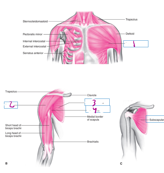 <p>1</p>