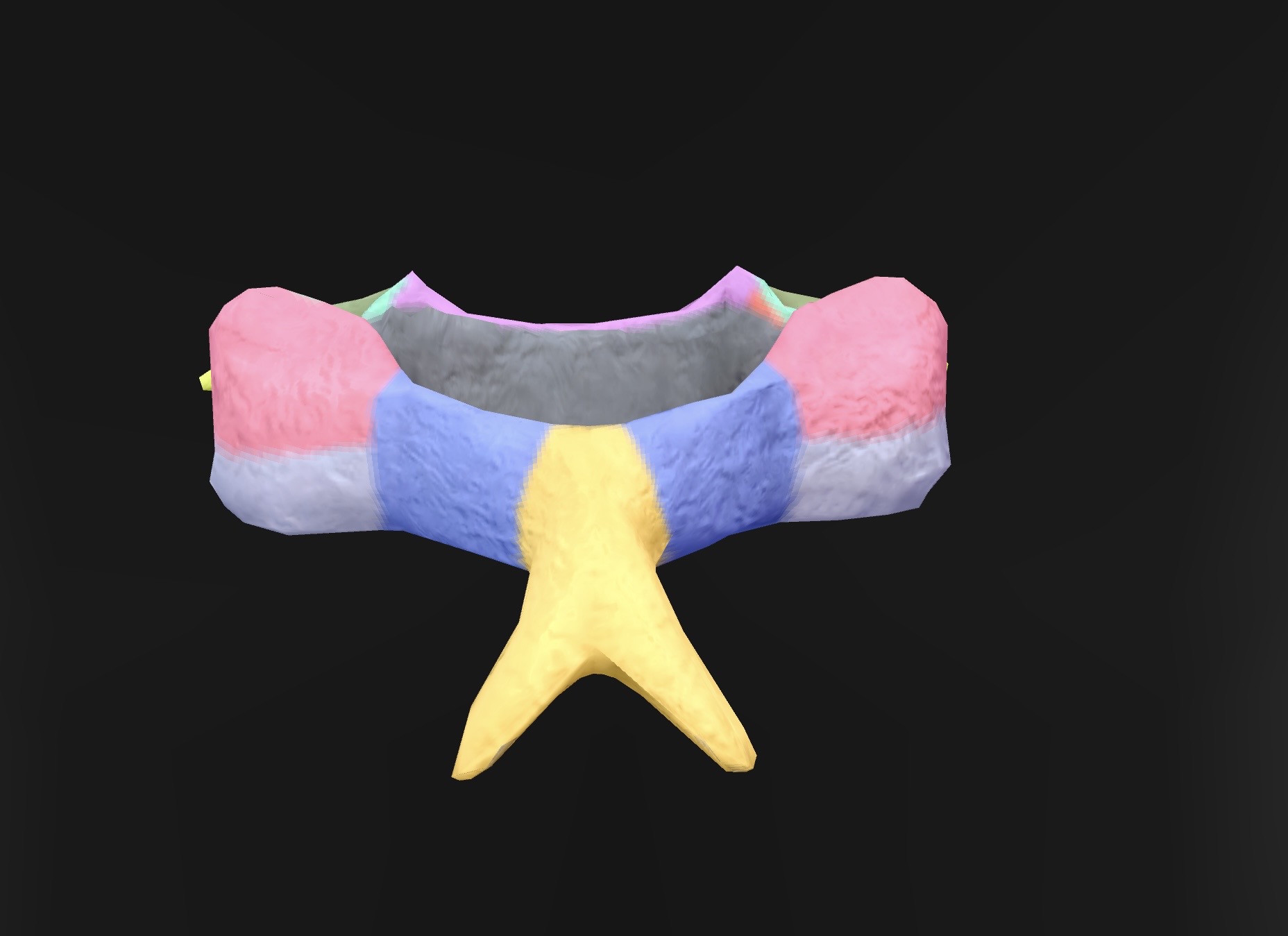 term image