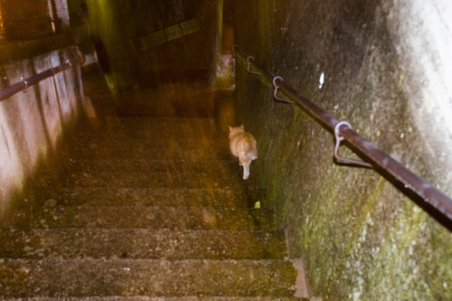 <p>to descend; to go down</p>