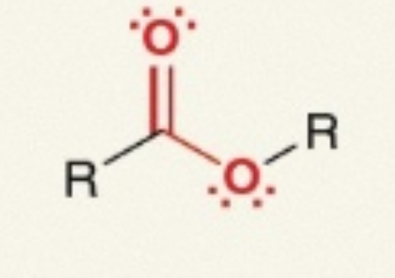 <p><span>R–C(=O)–OR</span></p>