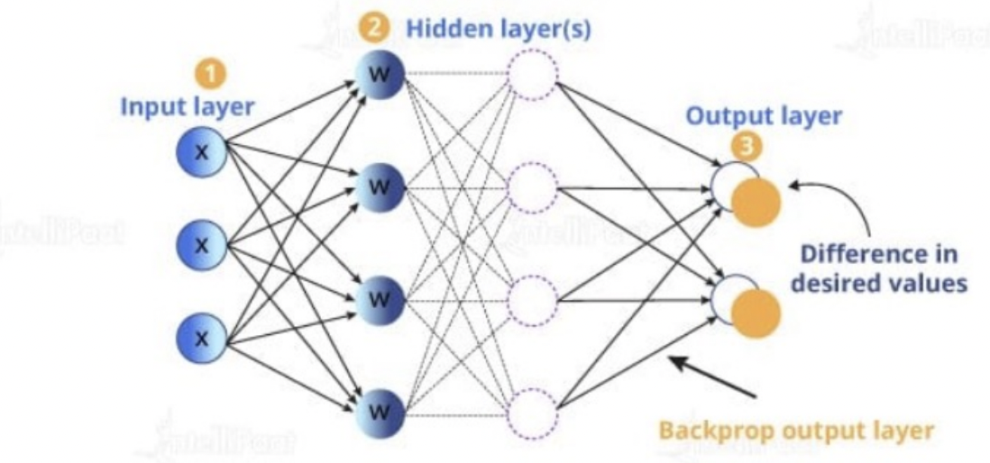 <p>rumelhard, hinton &amp; williams 1986</p><p>multiple layers of neurons - “hidden layers”</p><p>capable of non-linear classification</p>