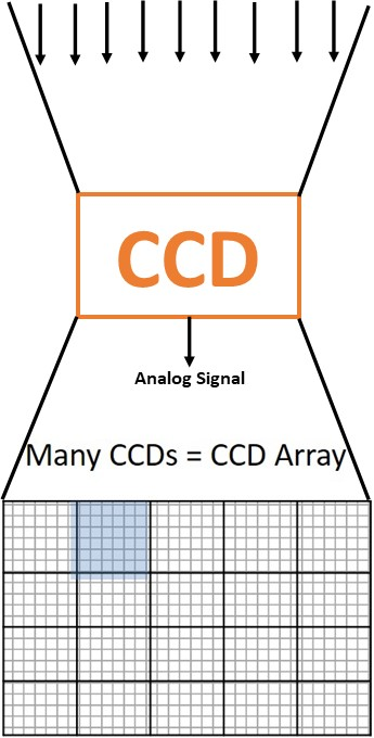 <p><span>highly sensitive to low light, responds to very dim and very bright lights therefore has a wide dynamic range</span></p>