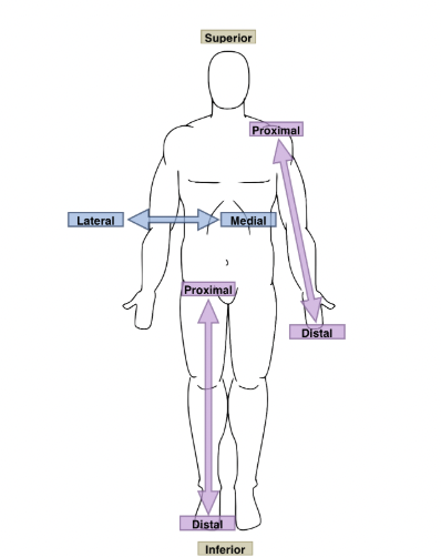 term image